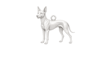 Soulyshine Xoloitzcuintli coated Little Love Charm Only - Image 1