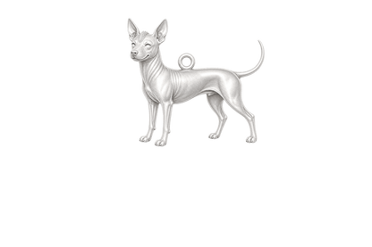 Soulyshine Xoloitzcuintli hairless Little Love Charm Only - Image 1