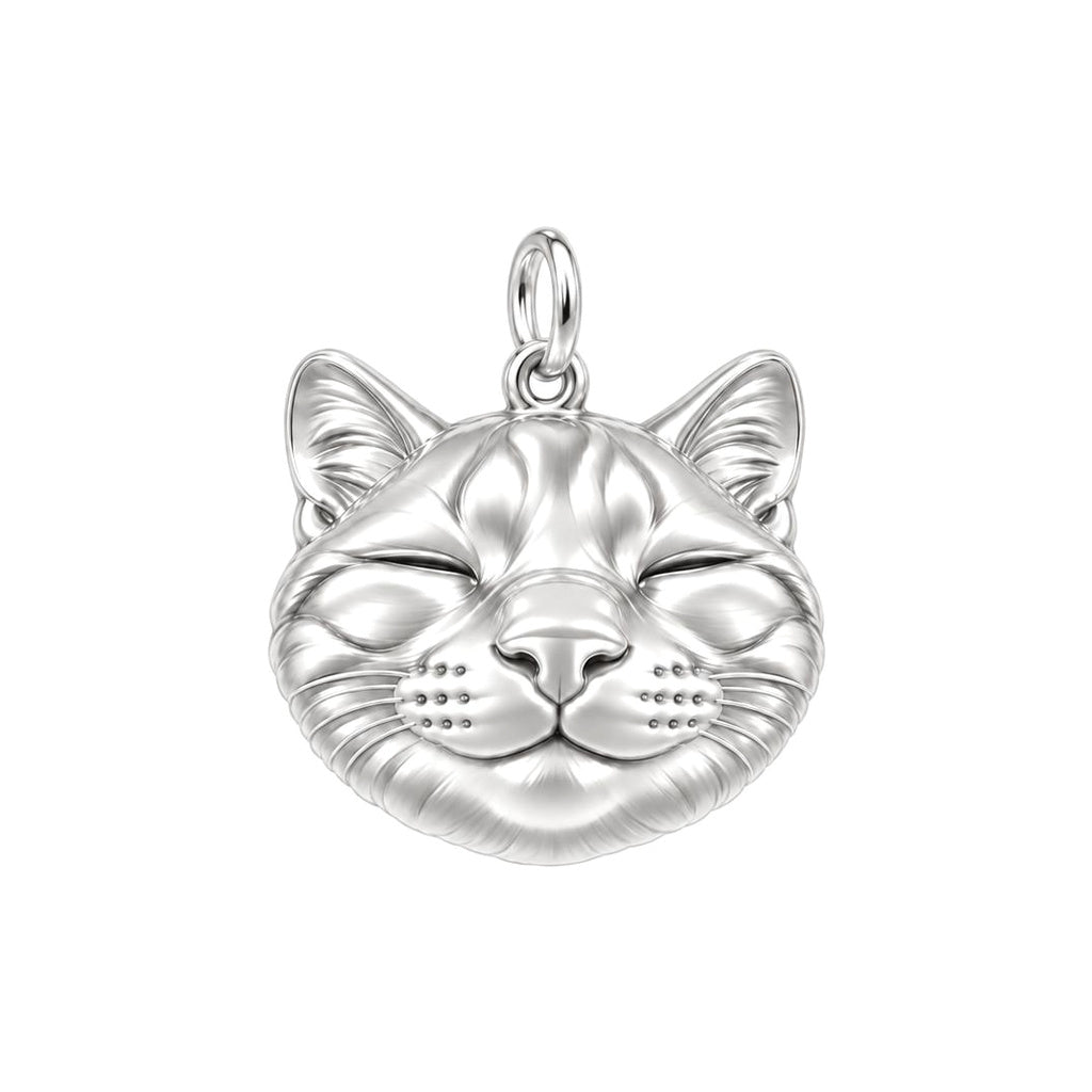Contented Furry Friend Charm Bracelet – Personalized Cat Mom Gift – silver charm, front view