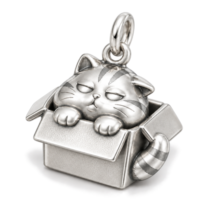 Cozy Box Cat Charm — Silver Super Macro | charm-topics-remaining-444-2026-09-14 | topic-158