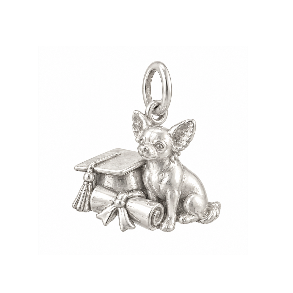 Diploma and Small Dog Charm — Silver — 50-works-silver-20260916-37