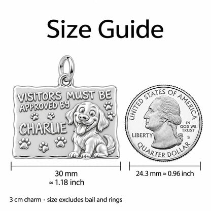 Dog Approved Visitor Charm Bracelet – Personalized Dog Mom Gift – size guide, 3 cm charm next to a quarter