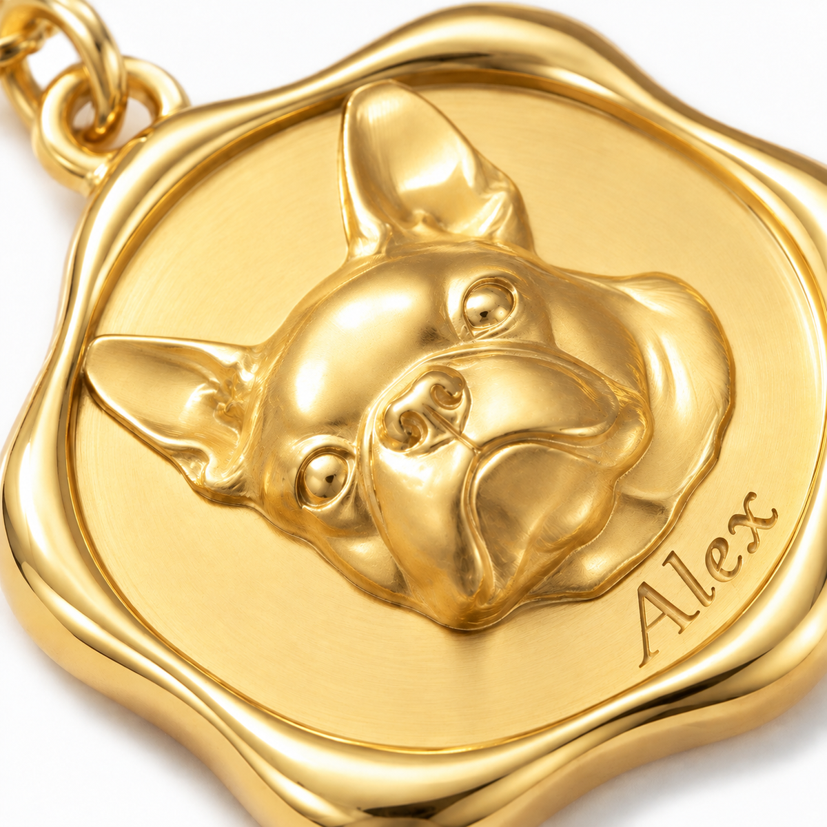 Precious Paw - Upload Pet Portrait Photo Necklace