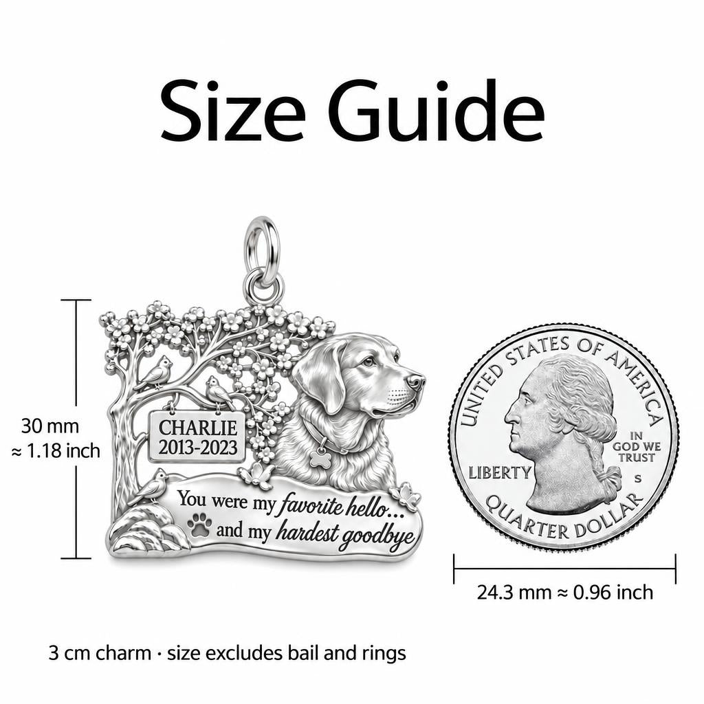 Favorite Hello Pet Memorial Charm Bracelet – Personalized Gift – size guide, 3 cm charm next to a quarter