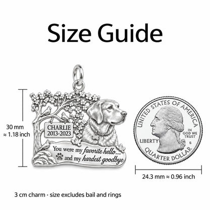 Favorite Hello Pet Memorial Charm Bracelet – Personalized Gift – size guide, 3 cm charm next to a quarter