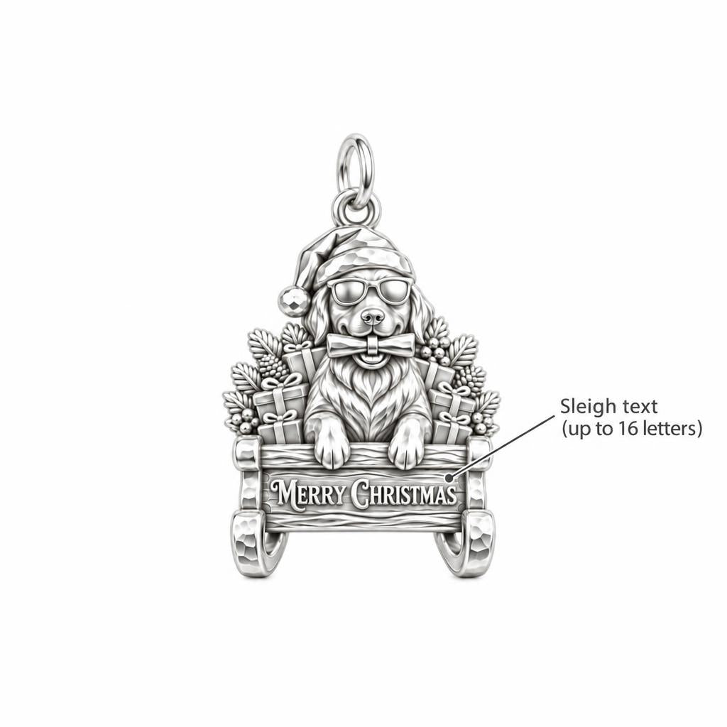 Festive Sleigh Ride Charm Bracelet – Personalized Dog Mom Gift – personalization guide