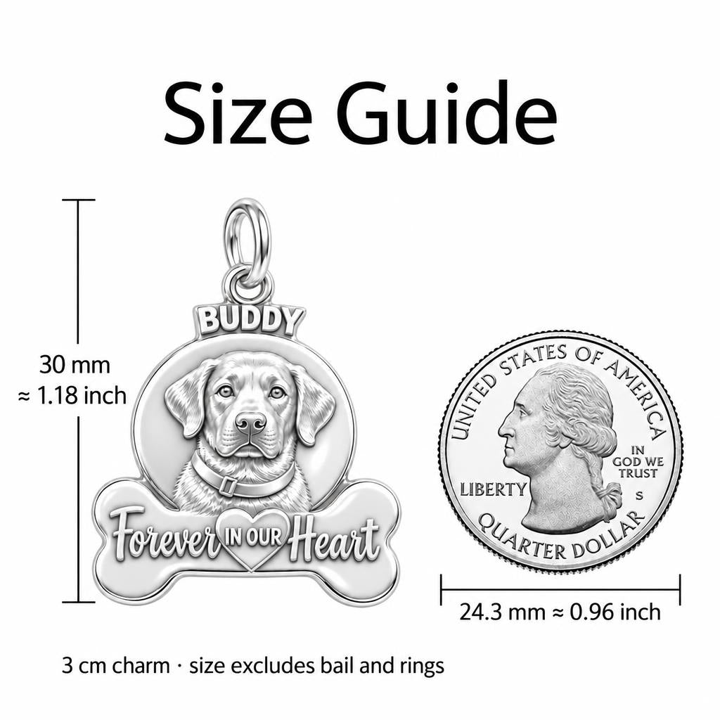 Forever In Our Heart Charm Bracelet – Personalized Pet Gift – size guide, 3 cm charm next to a quarter