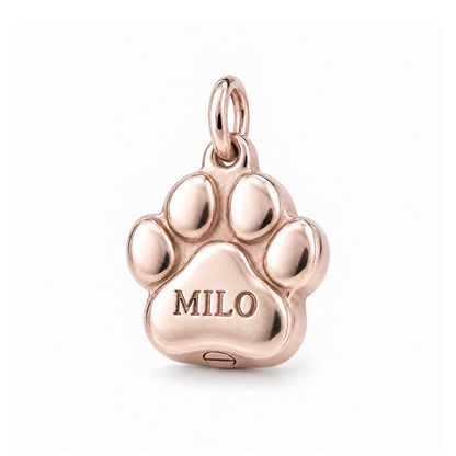 Forever Paw Memorial Charm — Rose Gold | charm-topics-remaining-444-2026-09-14 | topic-402
