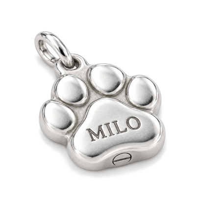 Forever Paw Memorial Charm — Silver Super Macro | charm-topics-remaining-444-2026-09-14 | topic-402