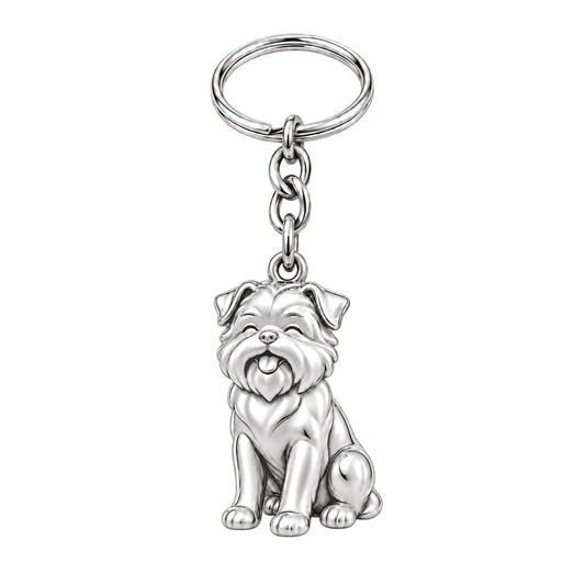 happypup-default-gallery Affenpinscher — Silver