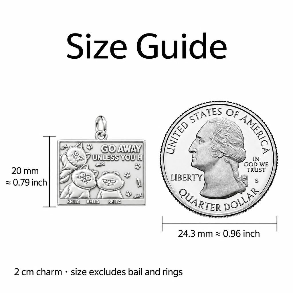 Grumpy Cat Family Charm Bracelet – Personalized Cat Mom Gift – size guide, 3 cm charm next to a quarter