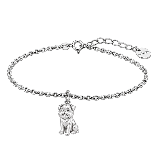 happypup-default-gallery Affenpinscher — Silver