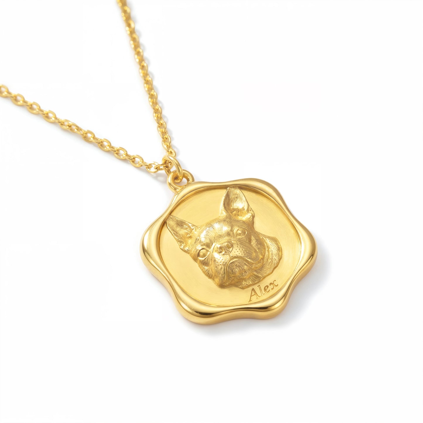 Soulyshine Precious Paw -  Upload Pet Portrait Photo Necklace