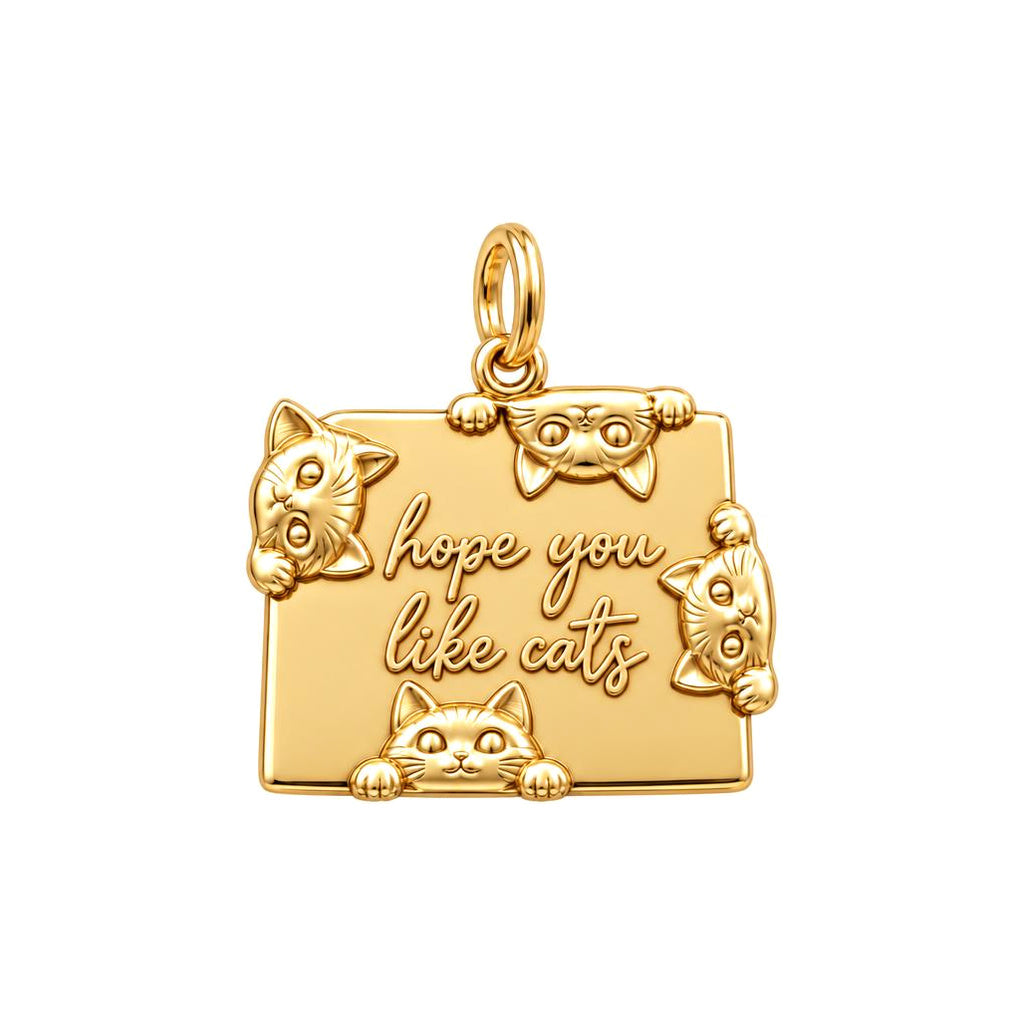 Hope You Like Cats Charm Bracelet – Personalized Cat Mom Gift – 18K gold plated 3 cm charm, front view