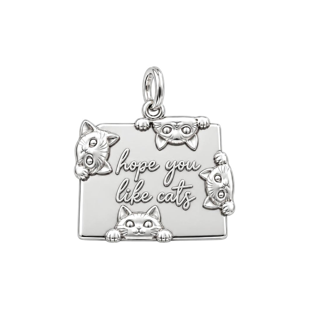 Hope You Like Cats Charm Bracelet – Personalized Cat Mom Gift – silver plated 3 cm charm, front view
