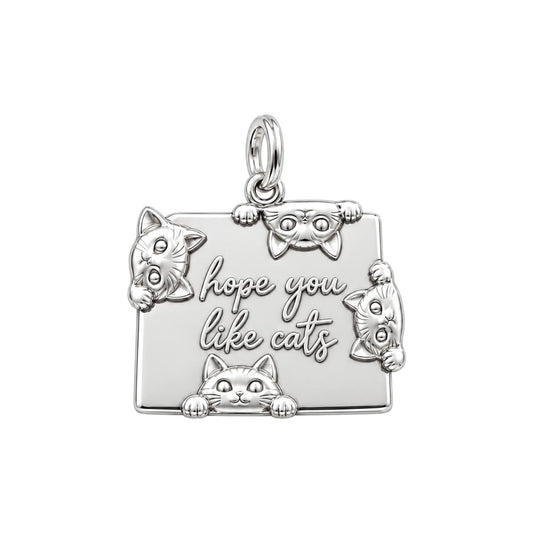 Hope You Like Cats Charm Bracelet – Personalized Cat Mom Gift – silver plated 3 cm charm, front view