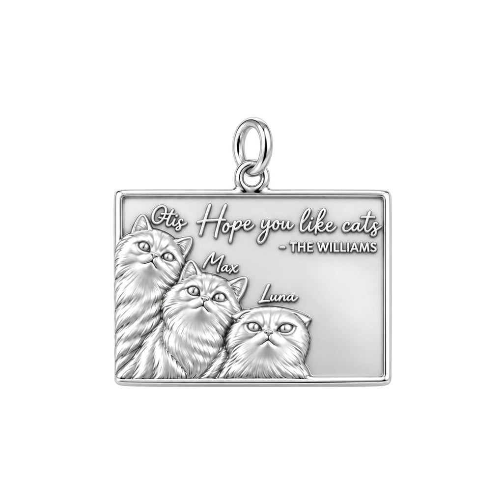 Hope You Like Cats Charm Bracelet – Personalized Cat Mom Gift – silver plated 3 cm charm, front view