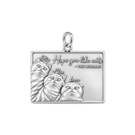 Hope You Like Cats Charm Bracelet – Personalized Cat Mom Gift – silver plated 3 cm charm, front view