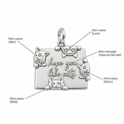Hope You Like Cats Charm Bracelet – Personalized Cat Mom Gift – personalization guide