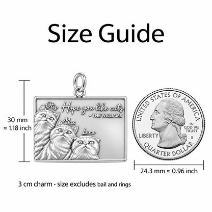 Hope You Like Cats Charm Bracelet – Personalized Cat Mom Gift – size guide, 3 cm charm next to a quarter