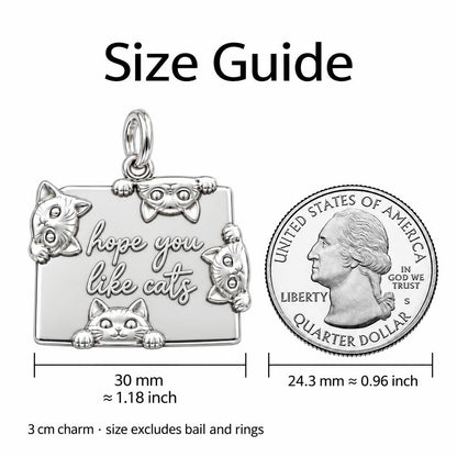 Hope You Like Cats Charm Bracelet – Personalized Cat Mom Gift – size guide, 3 cm charm next to a quarter