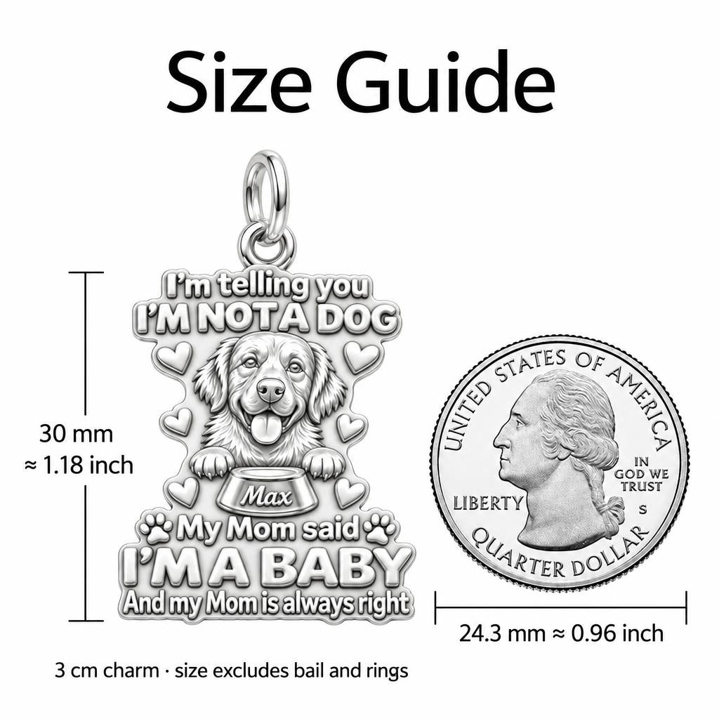 I'm A Baby Pet Charm Bracelet – Personalized Dog Mom Gift – size guide, 3 cm charm next to a quarter