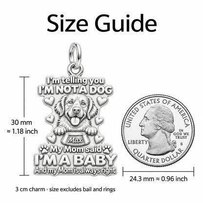 I'm A Baby Pet Charm Bracelet – Personalized Dog Mom Gift – size guide, 3 cm charm next to a quarter