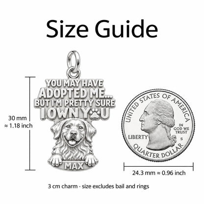 I Own You Charm Bracelet – Personalized Dog Mom Gift – size guide, 2 cm charm next to a quarter