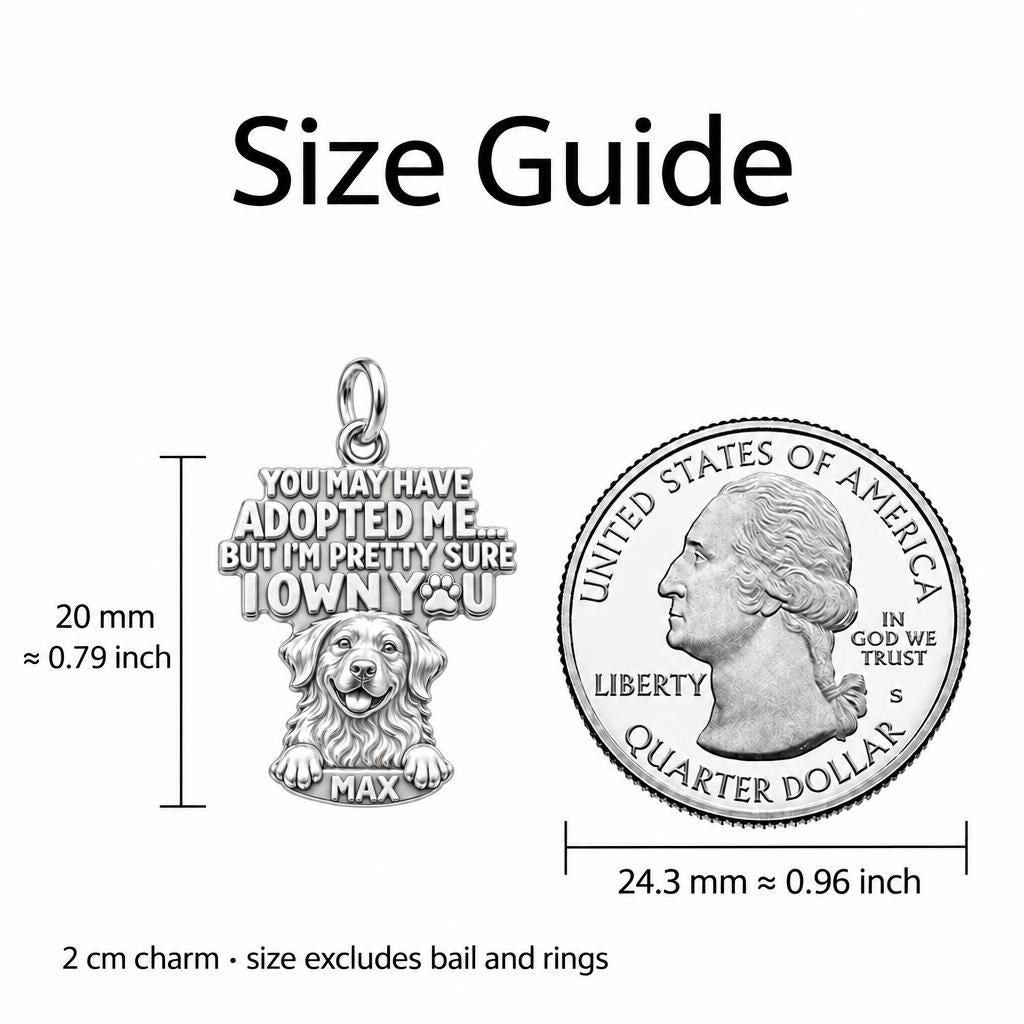 I Own You Dog Charm Bracelet Set – size guide, 13 mm charm next to a quarter