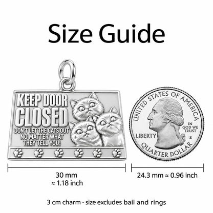 Keep Door Closed Cats Charm Necklace Set – size guide, 13 mm charm next to a quarter