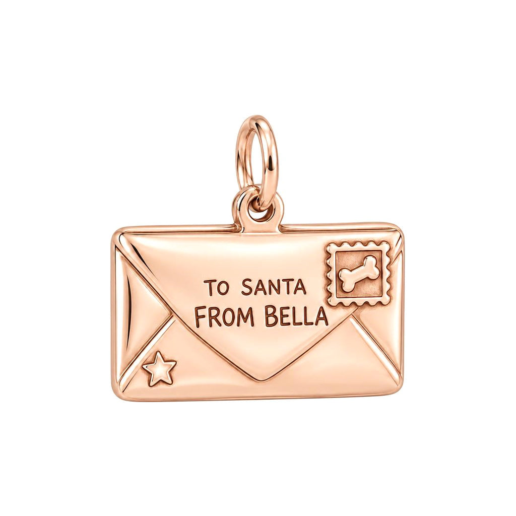 Letter to Santa Charm and Polyester Cord Bracelet Set
