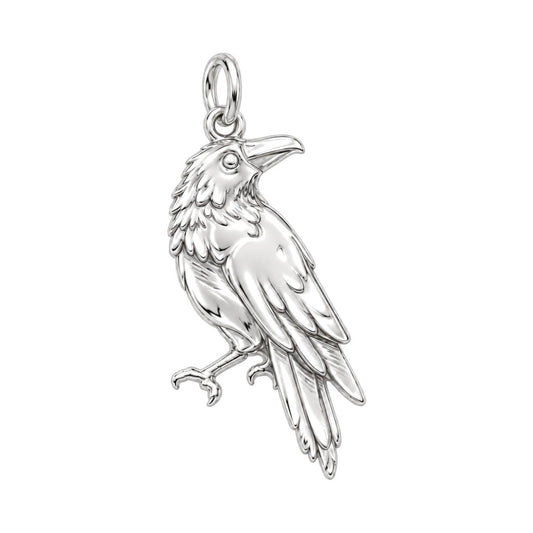 Mystic Raven Sentinel Charm Bracelet – Personalized Nature Gift – silver charm, front view