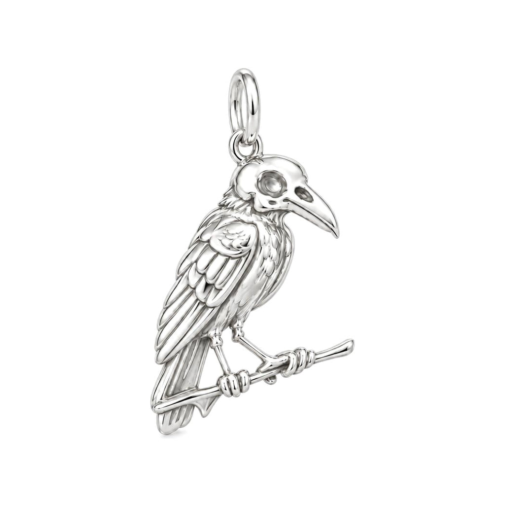 Mystic Raven Skull Charm Bracelet – Personalized Goth Gift – silver charm, front view