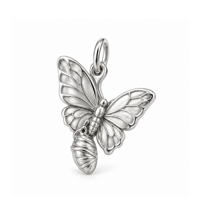 New Wings Charm — Silver | charm-topics-remaining-444-2026-09-14 | topic-202