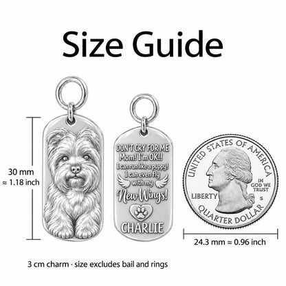 New Wings Pet Portrait Charm Bracelet – Personalized Dog Mom Gift – size guide, 3 cm charm next to a quarter