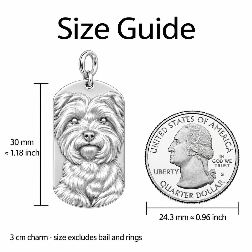 New Wings Pet Portrait Charm Bracelet – Personalized Dog Mom Gift – size guide, 3 cm charm next to a quarter