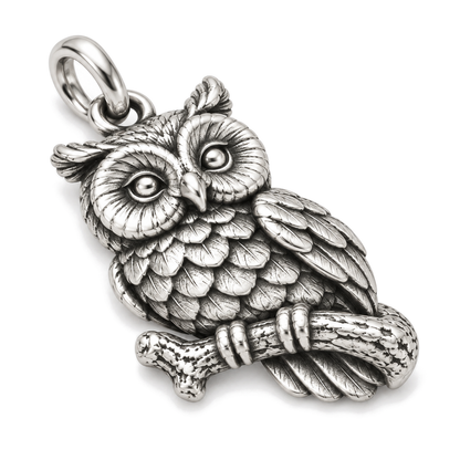 Night Watch Owl Charm — Silver Super Macro | charm-topics-remaining-444-2026-09-14 | topic-122