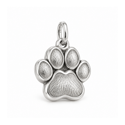 Pawprint Keepsake Charm — Silver | charm-topics-remaining-444-2026-09-14 | topic-362