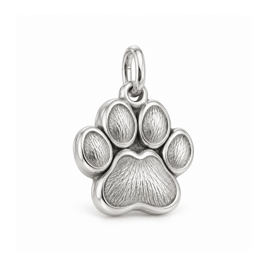 Pawprint Keepsake Charm — Silver | charm-topics-remaining-444-2026-09-14 | topic-362