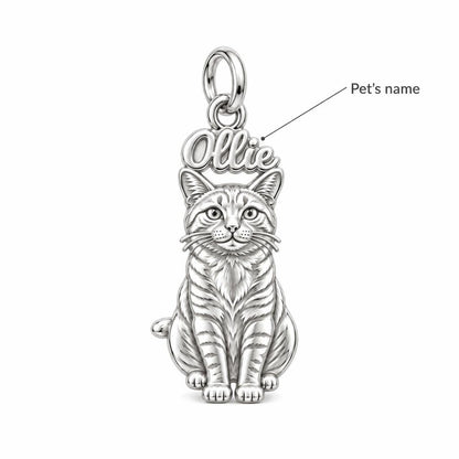 Pet Portrait Halo Charm Bracelet – Personalized Dog Mom Gift – personalization guide