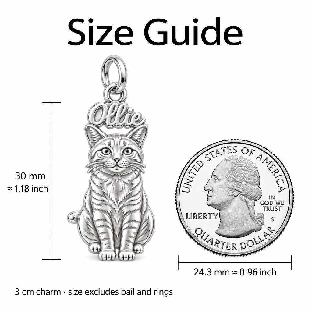 Pet Portrait Halo Charm Bracelet – Personalized Dog Mom Gift – size guide, 3 cm charm next to a quarter