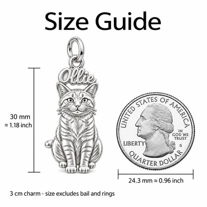 Pet Portrait Halo Charm Bracelet – Personalized Dog Mom Gift – size guide, 3 cm charm next to a quarter