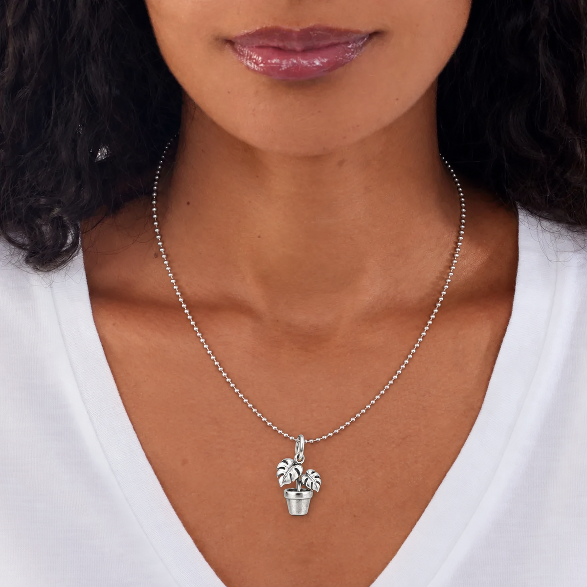 Potted Monstera Charm — Model | charm-topics-remaining-444-2026-09-14 | topic-217