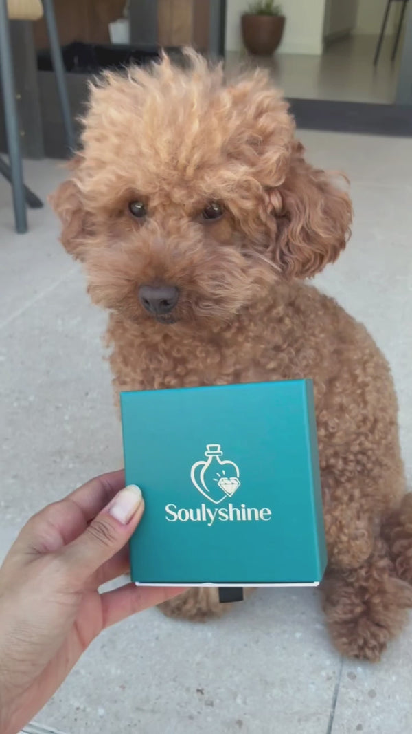 Soulyshine — Unbox With Me — clip 9