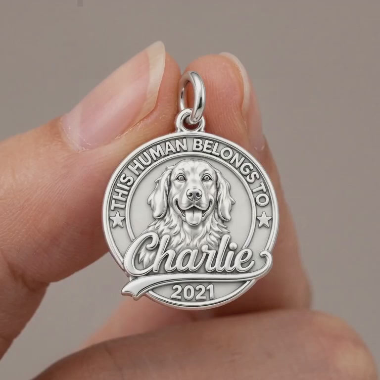 This Human Belongs To Charm Bracelet – Personalized Dog Mom Gift – product video