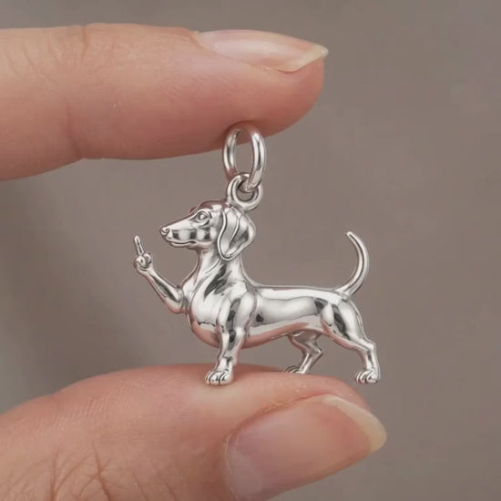 Sassy Dachshund Charm Bracelet – Personalized Dog Mom Gift – product video