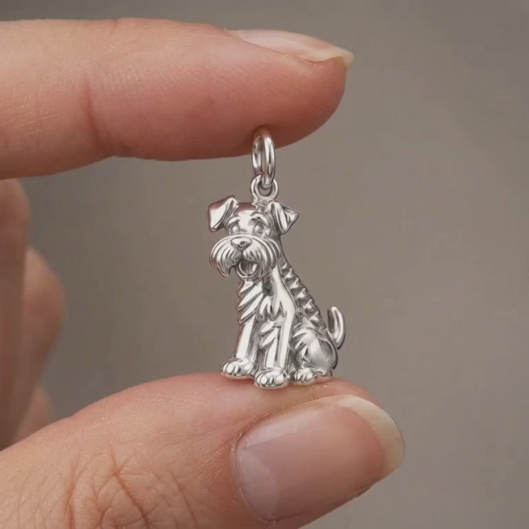 Loyal Schnauzer Spirit Charm Bracelet – product video