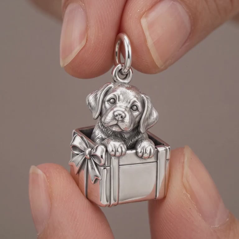 Puppy in Gift Box Charm and Polyester Cord Bracelet Set