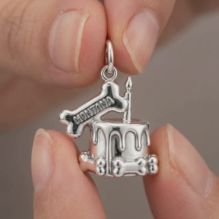 Dog Birthday Cake Charm Bracelet – Personalized Dog Mom Gift – product video