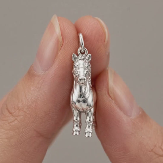 Gentle Spirit Horse Charm Bracelet – Personalized Horse Lover Gift – product video